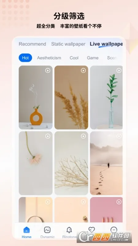 ֽС2025ٷ°汾v1.2.7 Ѱͼ