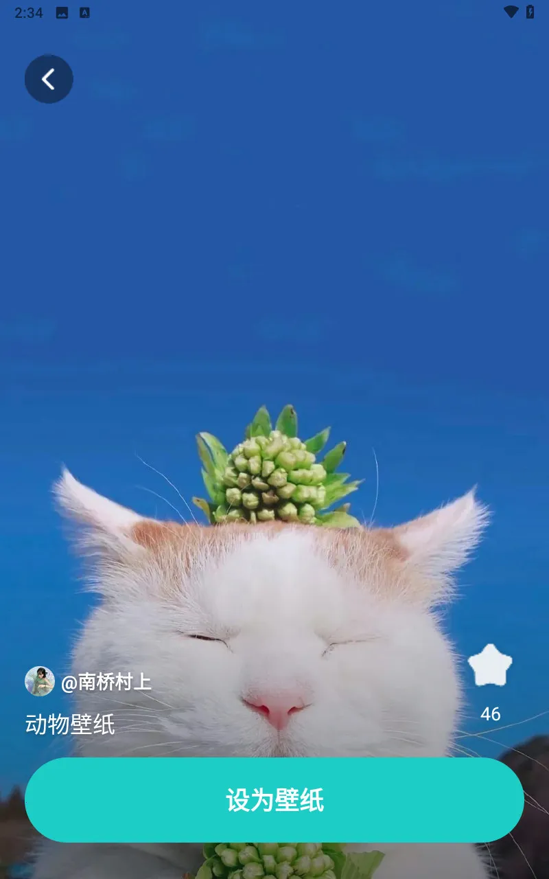 ���ٱ�ֽ����ͼ��׿���ֻ���