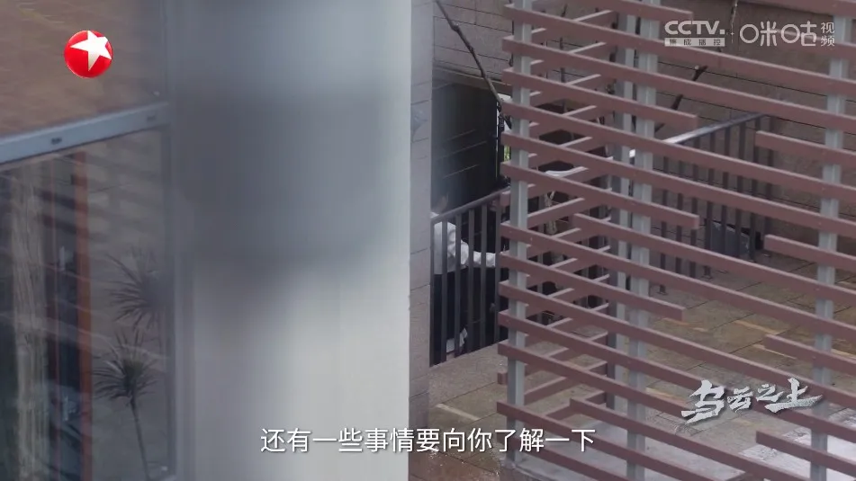 ����TV����APP