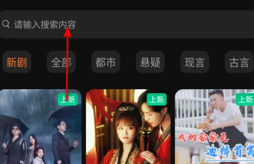 �ɹ��̾�2025�ٷ�����