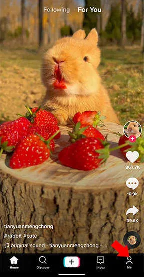 TikTok Lite2025���°汾