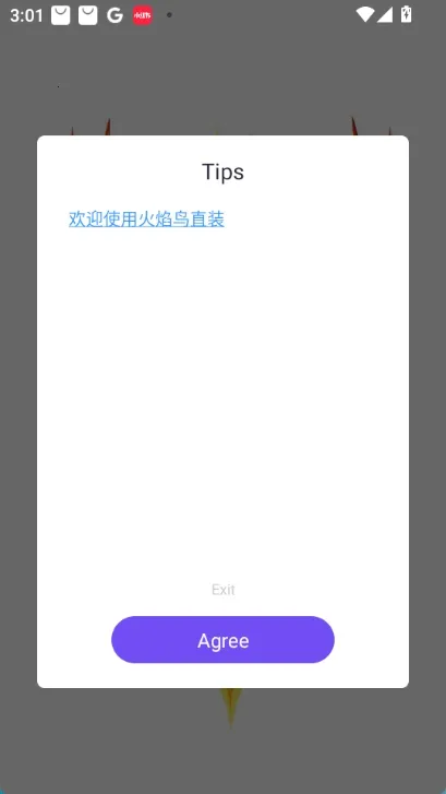 ������v2ֱװ(��ƽ��Ӣ����)v1.0 ��׿���ͼ