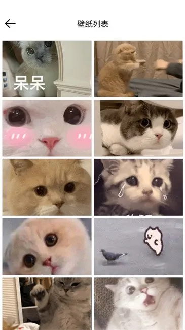 ��ֽ��2025���ذ�װv1.2.12 ��׿���ͼ