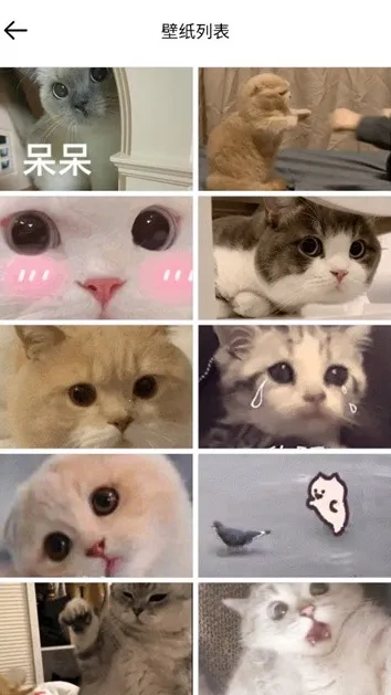 ��ֽ��2025���ذ�װ