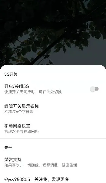 MIUI״̬��5G����(5G�������ù���)v1.3.9 ��Ѱ��ͼ