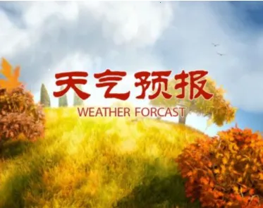 ֪�����������ֻ���