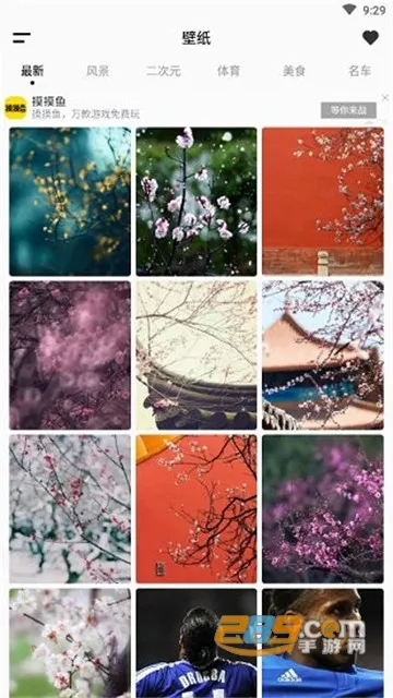 wallpaper��ֽ(��ֽ�������ܶ�)v2.7.4 ��Ѱ��ͼ