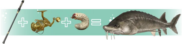 ����˹����ģ����2025�ٷ����°汾