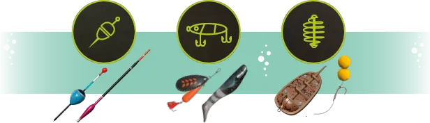 ����˹����ģ����2025�ٷ����°汾