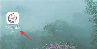 ��ɽ�����ʰ�2025�ٷ����°汾