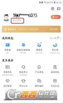 ��������(����Ԥ������)