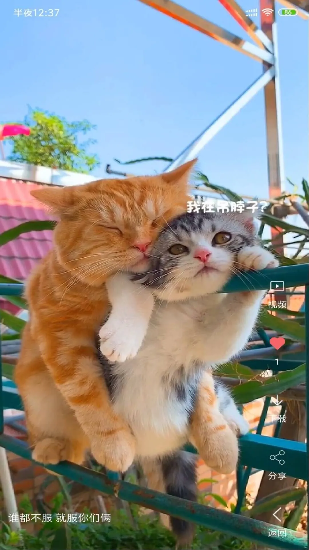 ������Ƶ��ֽ(��Ƶ��ֽƽ̨)v4.1.4 ��Ѱ��ͼ