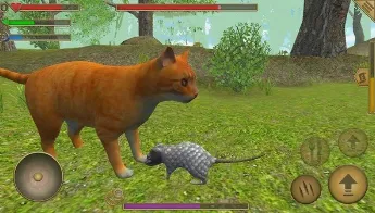 ��������ģ���������ֻ���