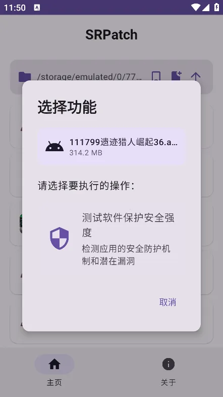 SR Patch2026���ذ�װ