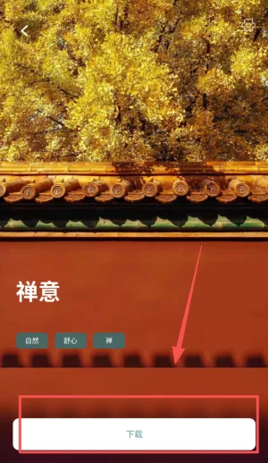 ����˯��