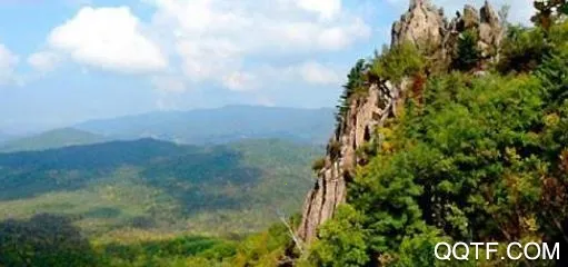 ������ý