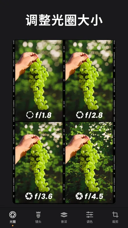 ReLens���Ȧ�黯�������2026���°汾