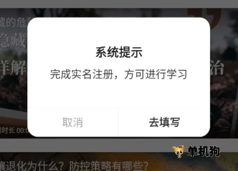 ��ũ�������ֻ���