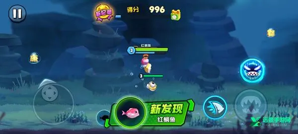 鱼吃鱼2026下载安装 鱼吃鱼2026下载安装