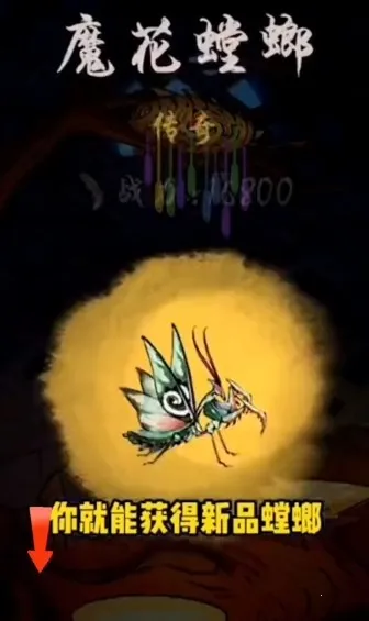 ��Ʒ��������ֻ���