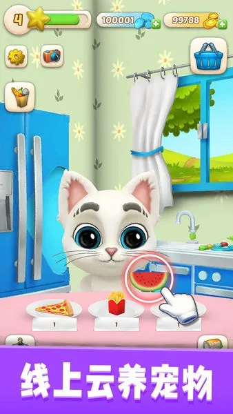 �ҵ�è���˹��