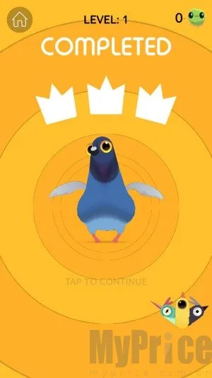 疯狂的鸽子pigeonpop 疯狂的鸽子pigeonpop