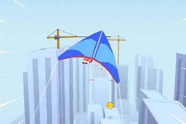 �ɹ��ܿ�