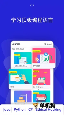 Programming Hub��׿���ֻ���v5.2.56 ��׿���ͼ