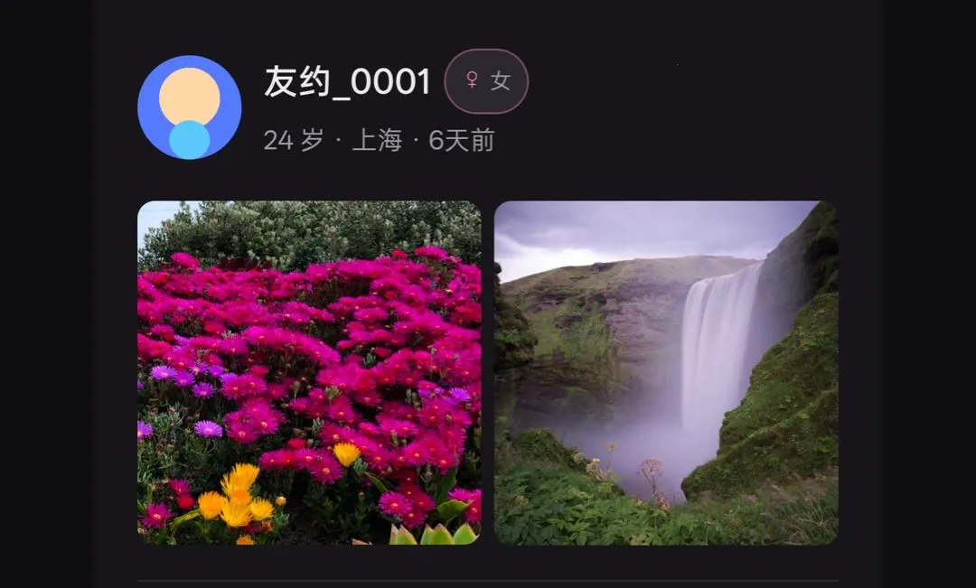��Լͬ�ǽ���(���˽�������)