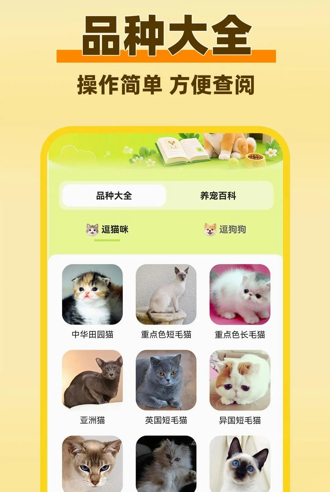 è���������Է�����(è�����Է��빤��)v1.0.1 �ٷ������ͼ