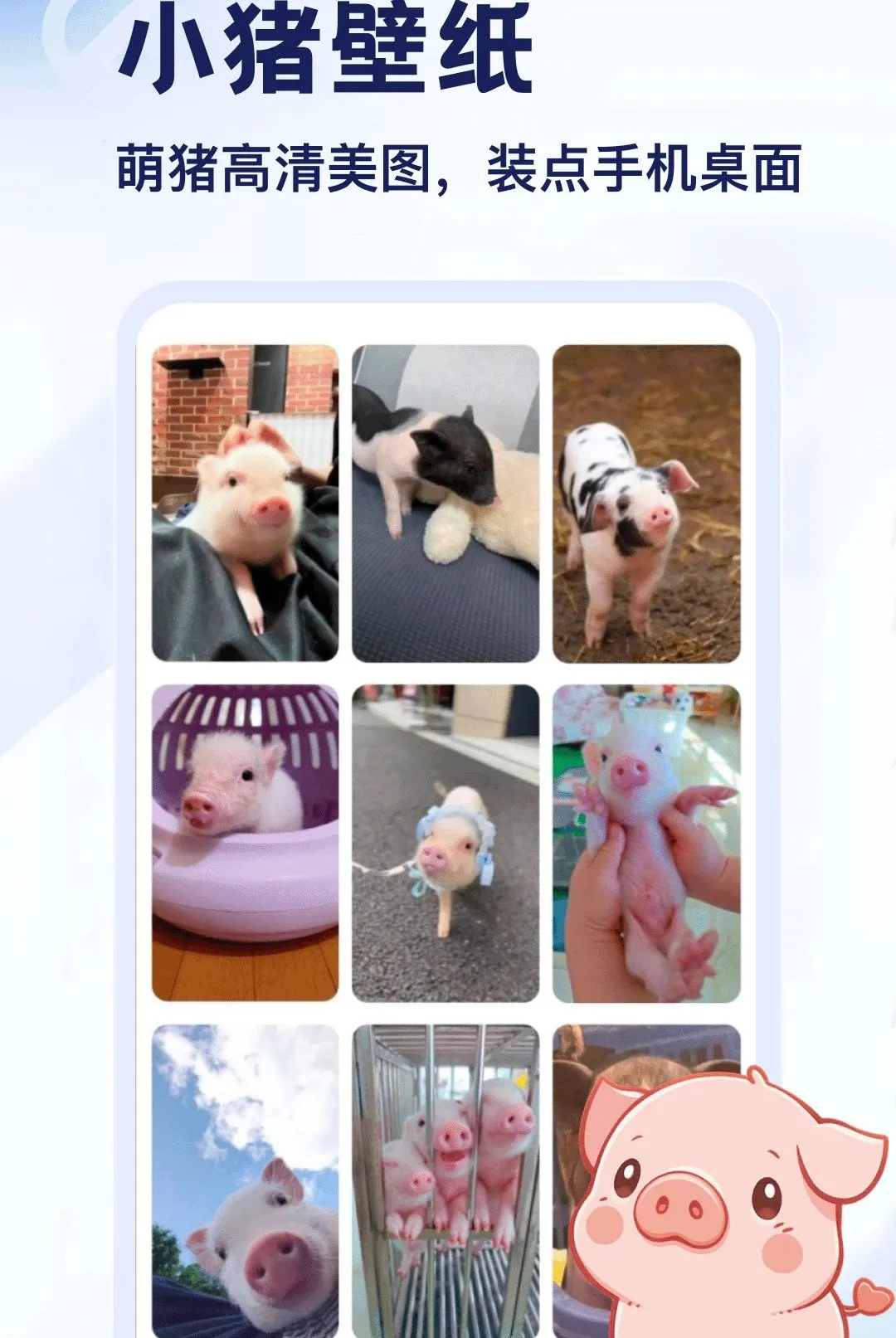 ����APP(С������APP)v5.2 �ٷ������ͼ