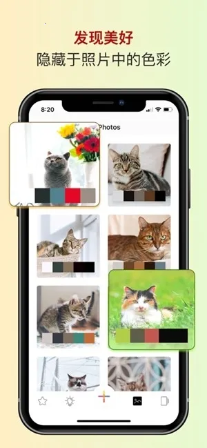 ɫ��ɫ������2026���ذ�װv2.5.38 �ֻ����ͼ