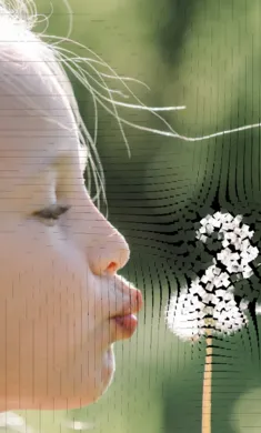 ��������ģ��(����ģ�ⴴ��)v0.981 ��Ѱ��ͼ