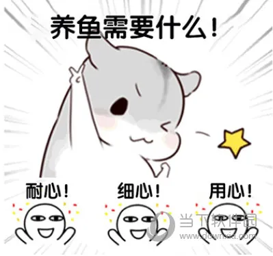 �����������ڹ�