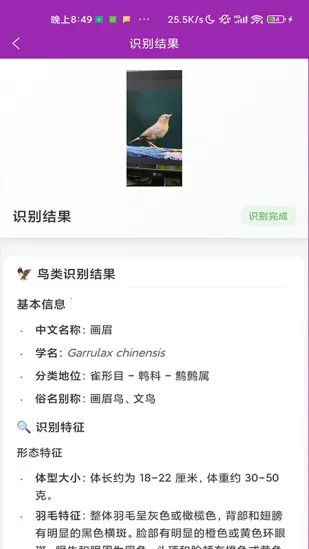ʶ��(����ʶ�𹤾�)v1.1.0 �ٷ������ͼ