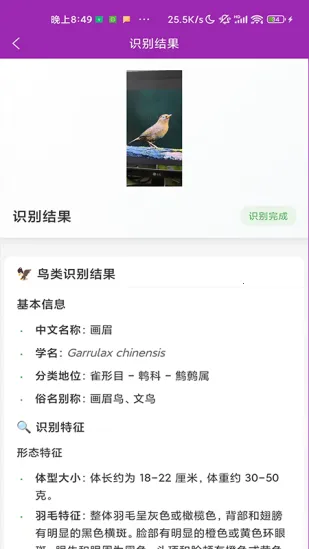 ʶ��(����ʶ�𹤾�)v1.1.0 �ٷ������ͼ