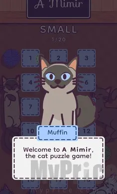 ���׶���׿���ֻ���