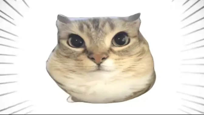 �ͰͲ�һ2026�ٷ����°汾v1.0 ��׿���ͼ