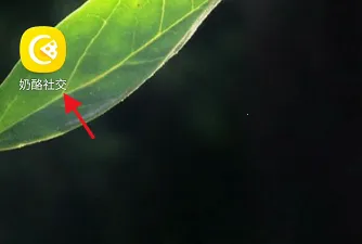 ���Ҹ�����׿���ֻ���