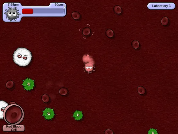 ��ζ����5�ƽ��