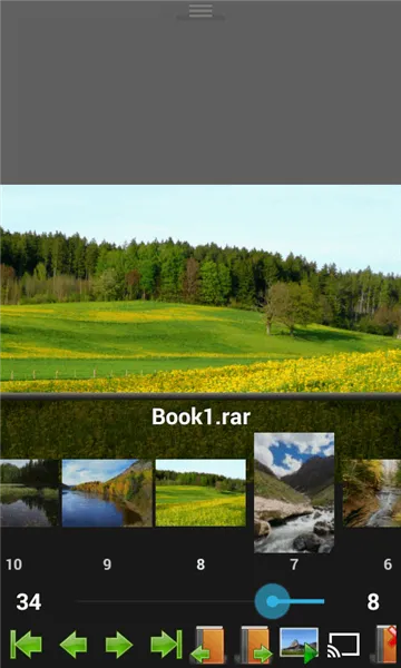 Perfect Viewer(�����Ķ���)