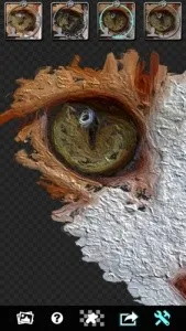 Glaz�ͻ��˾�2026�ٷ����°汾v2.3.4 �ֻ����ͼ