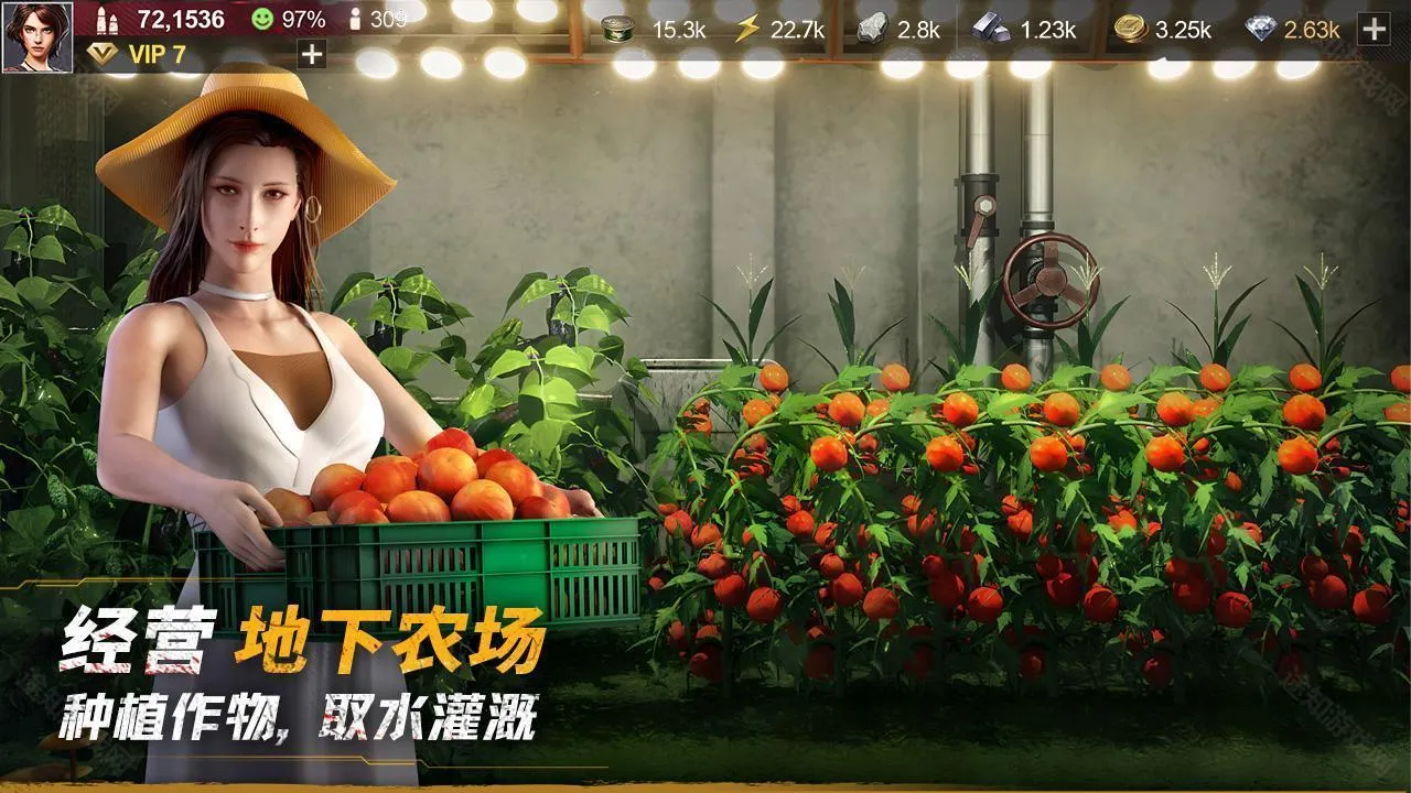 ��������(ĩ����������)