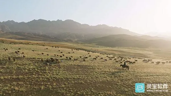 ȫ�ۺ�TVʹ�ý̳�7