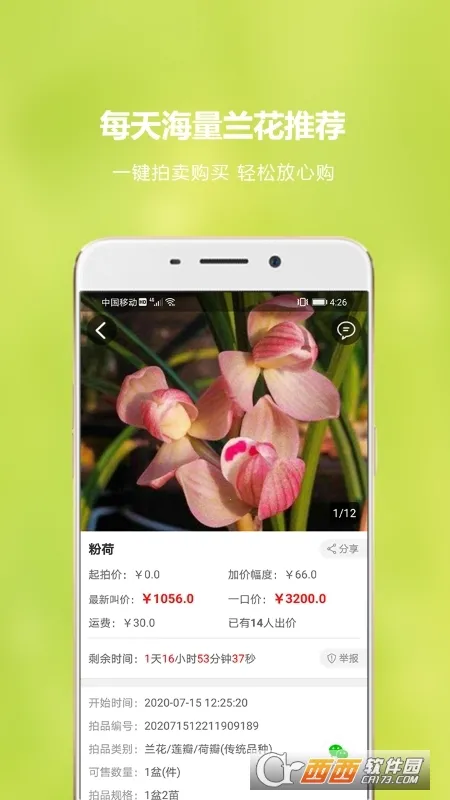 ����������2026�ٷ�����