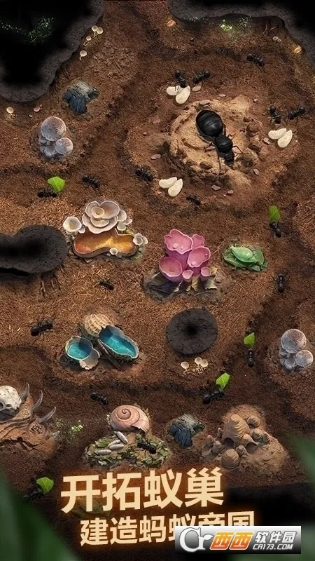 The Ants(СС�Ϲ���Ϸ)v3.87.0 ��׿���ͼ