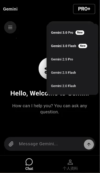 GeminiPro2026���°汾