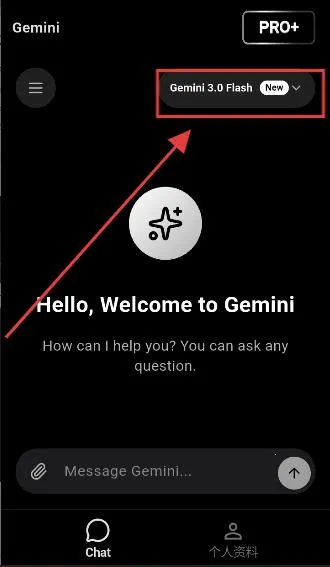 GeminiPro2026���°汾