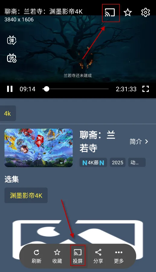 清流影视(影视播放软件) 清流影视(影视播放软件)