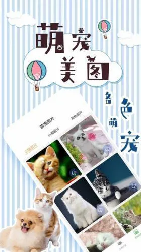 ��è���뽻����(�������Է���)